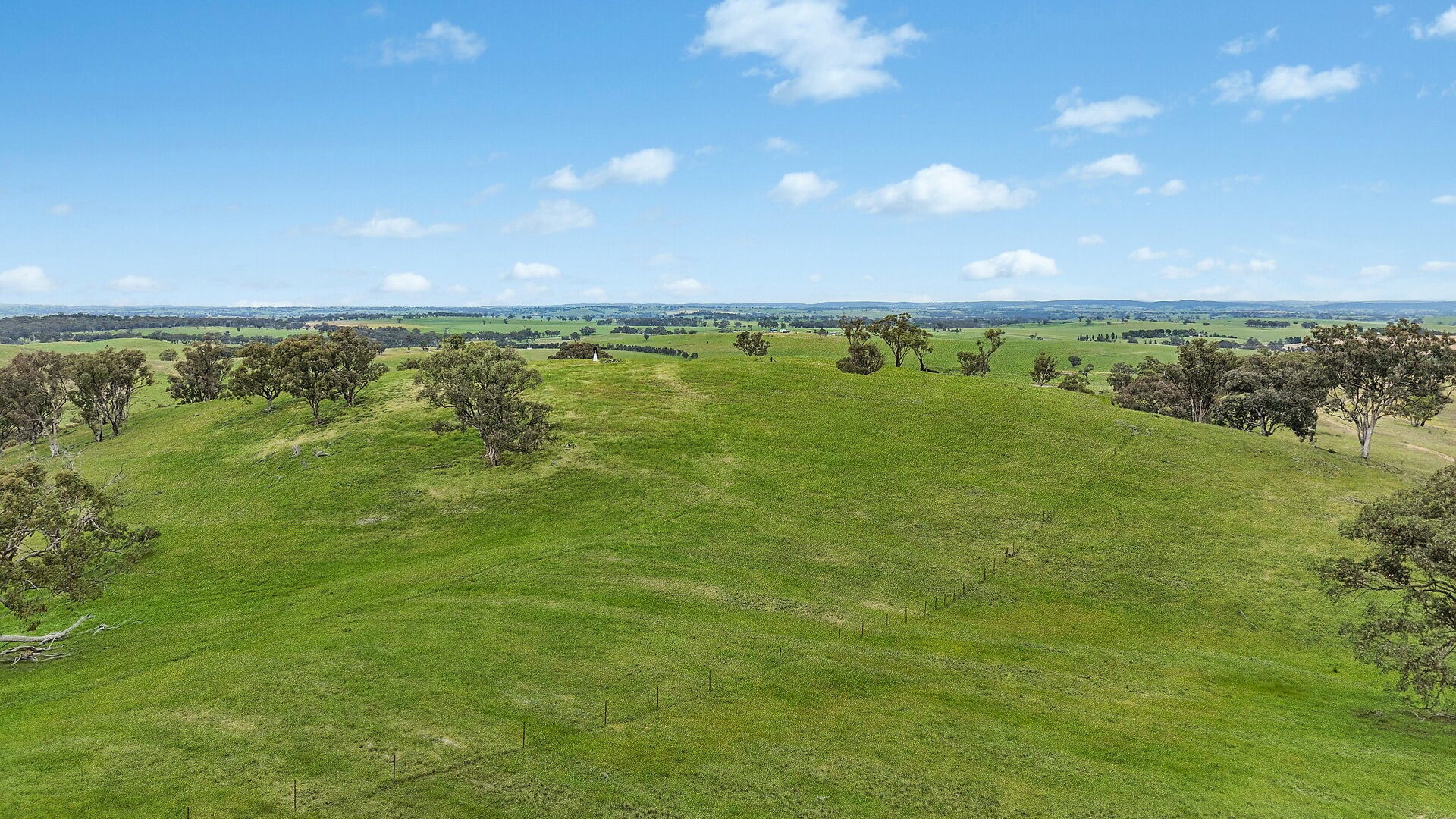 For Sale - 1862 Euchareena Road - New Property in Molong - Real Estate by Scott Petersen