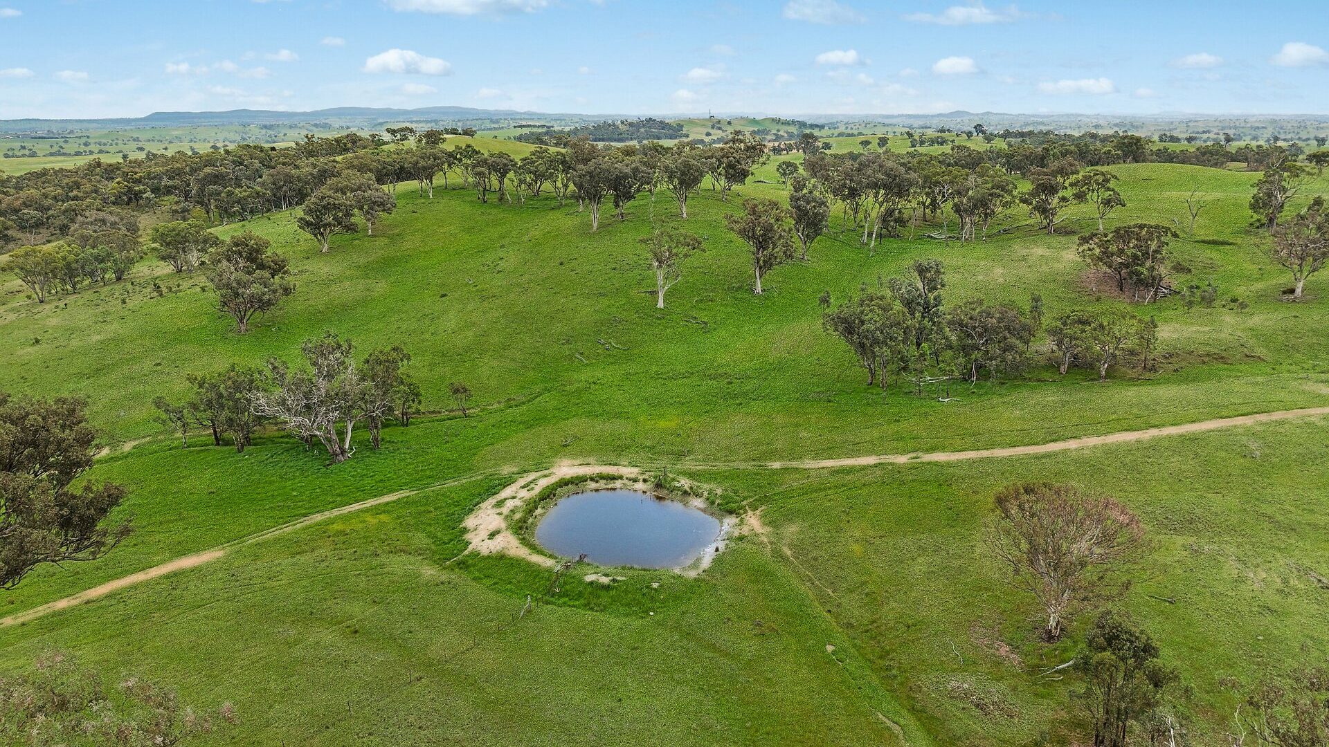 For Sale - 1862 Euchareena Road - New Property in Molong - Real Estate by Scott Petersen