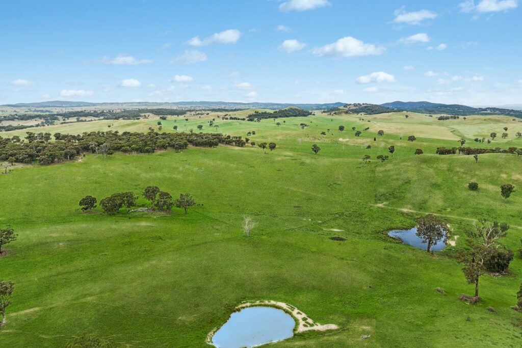 For Sale - 1862 Euchareena Road - New Property in Molong - Real Estate by Scott Petersen