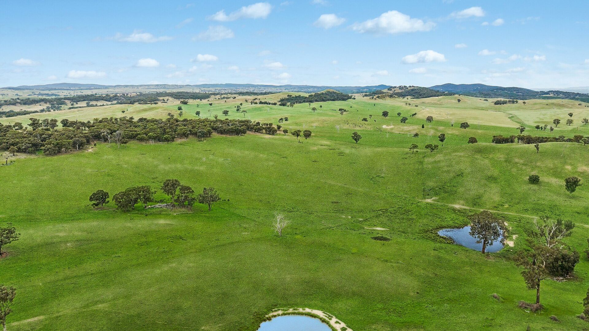 For Sale - 1862 Euchareena Road - New Property in Molong - Real Estate by Scott Petersen