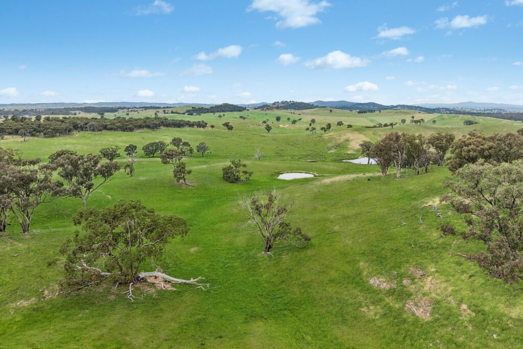 For Sale - 1862 Euchareena Road - New Property in Molong - Real Estate by Scott Petersen