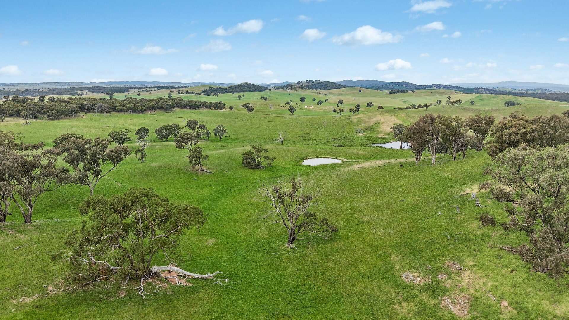 For Sale - 1862 Euchareena Road - New Property in Molong - Real Estate by Scott Petersen