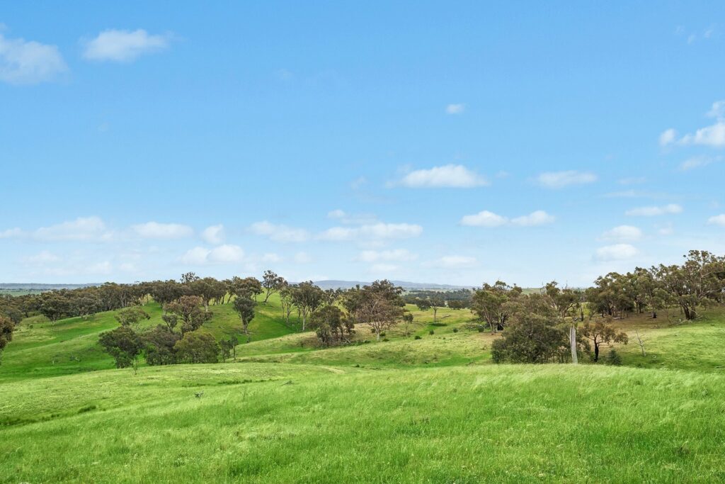 For Sale - 1862 Euchareena Road - New Property in Molong - Real Estate by Scott Petersen