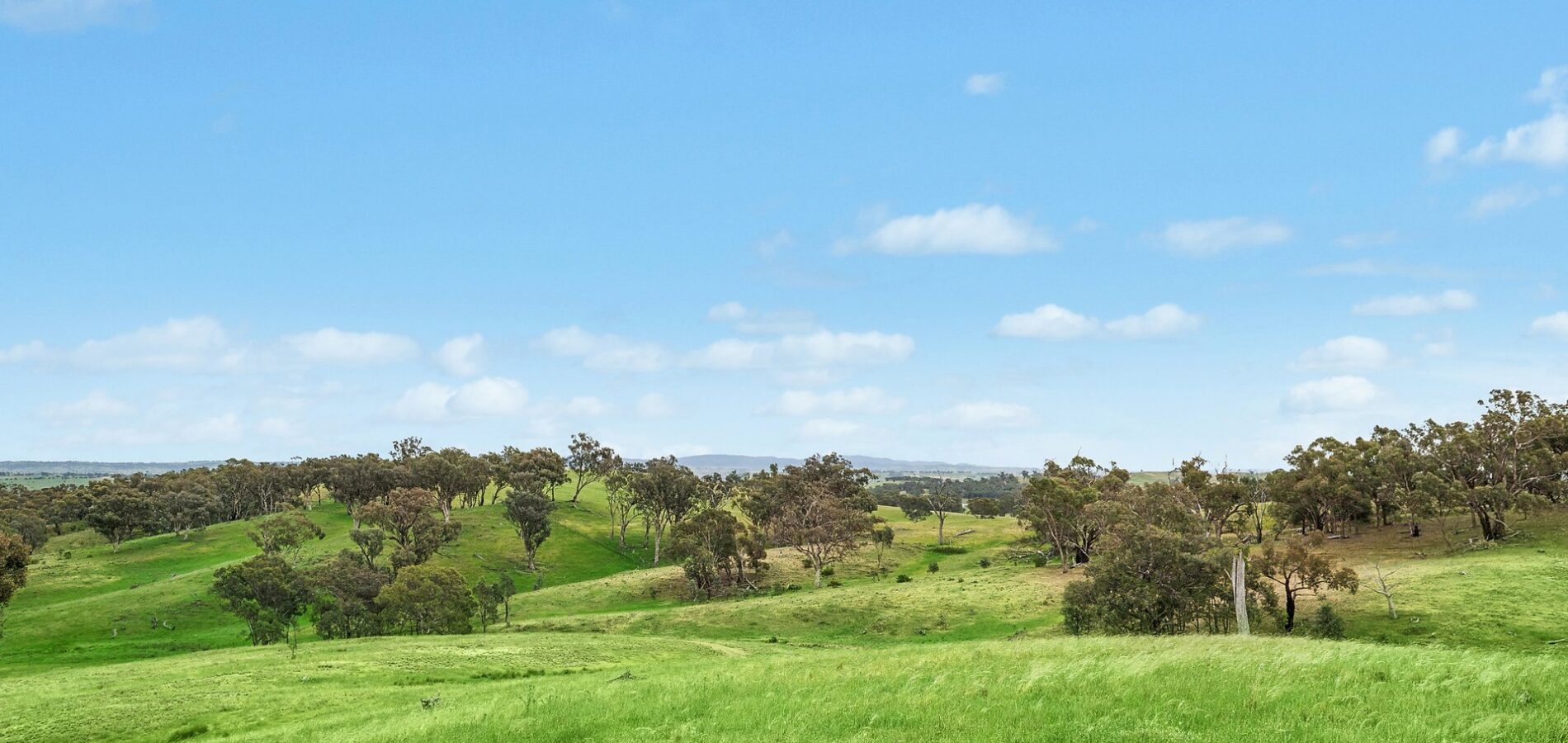 For Sale - 1862 Euchareena Road - New Property in Molong - Real Estate by Scott Petersen