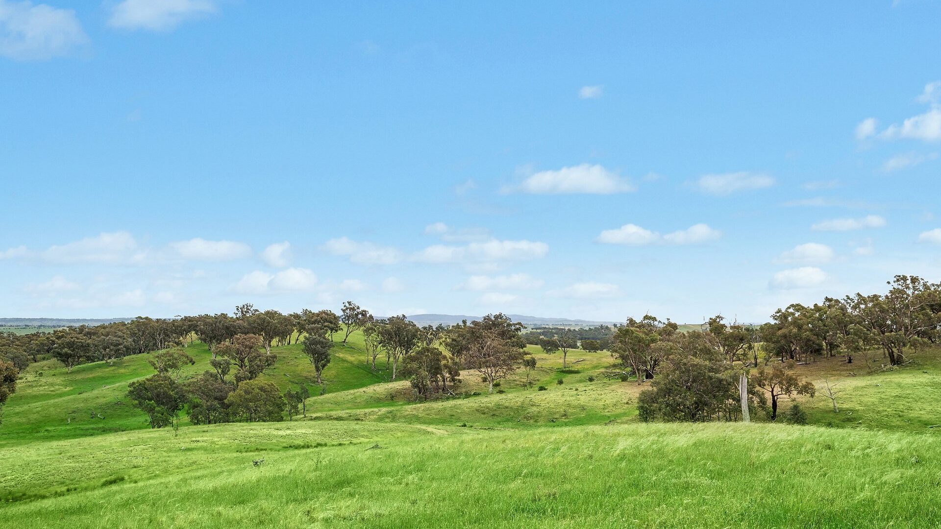 For Sale - 1862 Euchareena Road - New Property in Molong - Real Estate by Scott Petersen