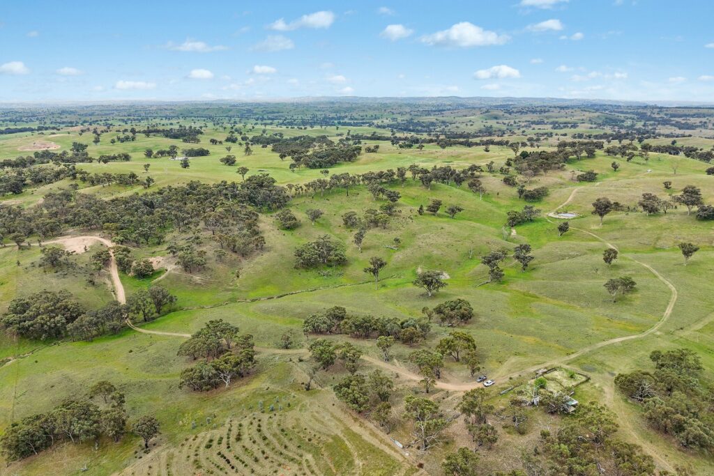 For Sale - 1862 Euchareena Road - New Property in Molong - Real Estate by Scott Petersen