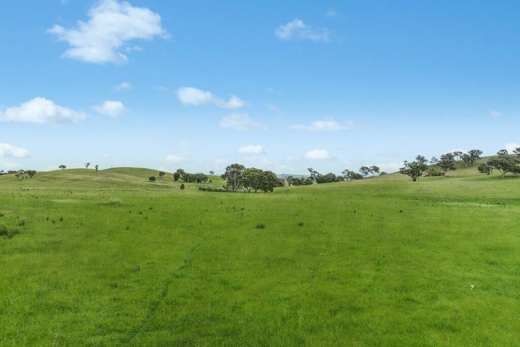 For Sale - 1862 Euchareena Road - New Property in Molong - Real Estate by Scott Petersen