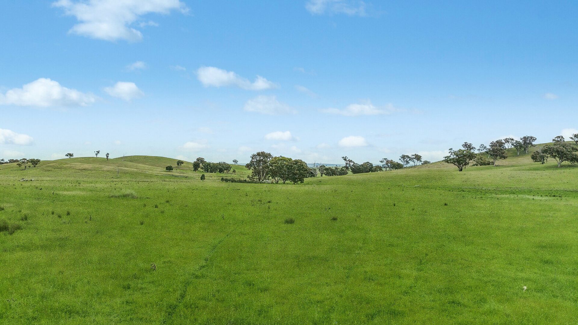 For Sale - 1862 Euchareena Road - New Property in Molong - Real Estate by Scott Petersen