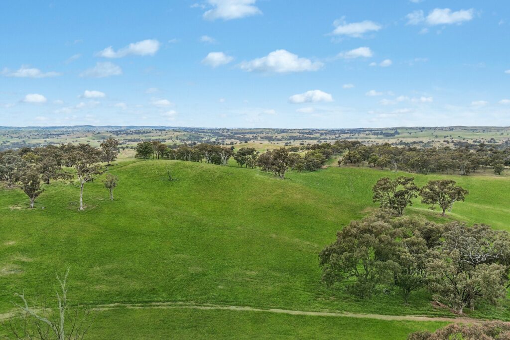 For Sale - 1862 Euchareena Road - New Property in Molong - Real Estate by Scott Petersen
