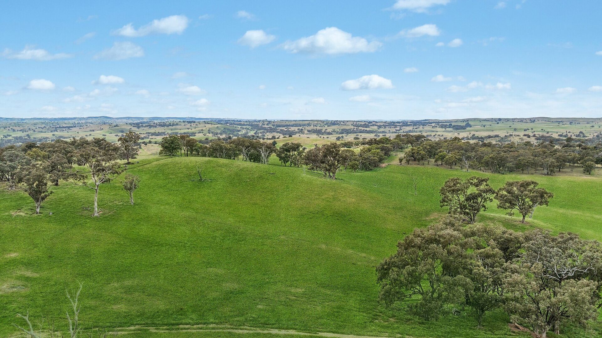 For Sale - 1862 Euchareena Road - New Property in Molong - Real Estate by Scott Petersen