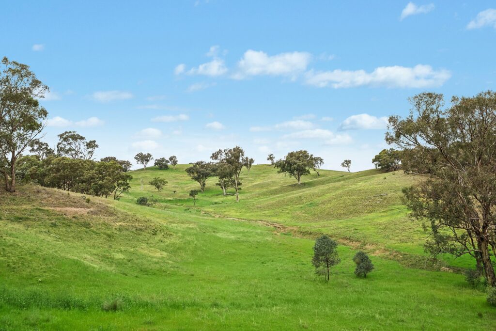 For Sale - 1862 Euchareena Road - New Property in Molong - Real Estate by Scott Petersen