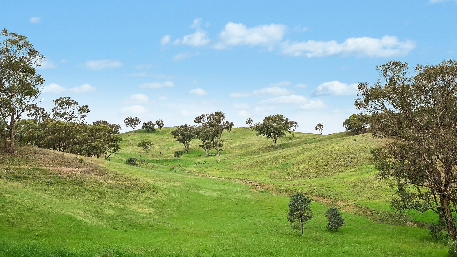 For Sale - 1862 Euchareena Road - New Property in Molong - Real Estate by Scott Petersen