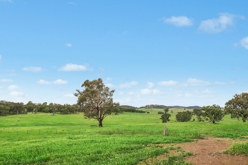 For Sale - 1862 Euchareena Road - New Property in Molong - Real Estate by Scott Petersen