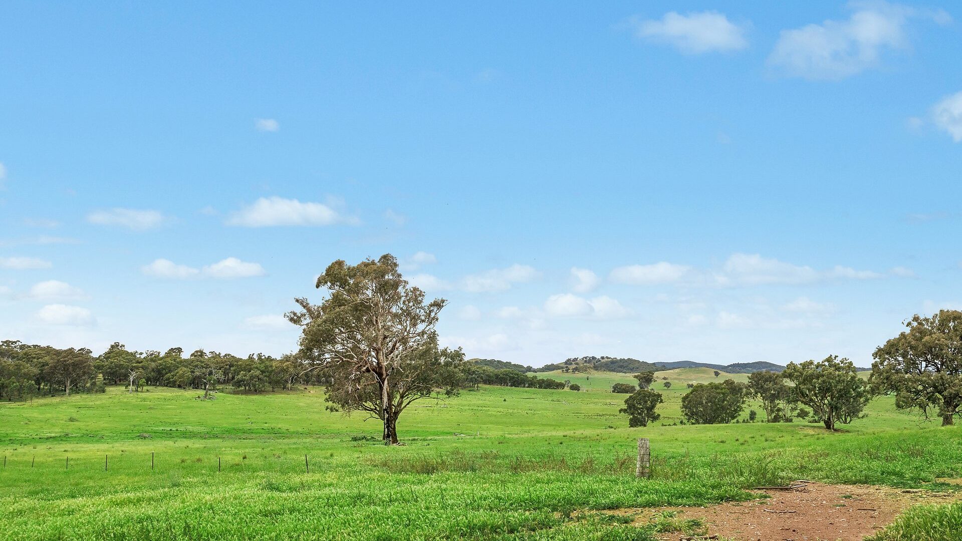 For Sale - 1862 Euchareena Road - New Property in Molong - Real Estate by Scott Petersen