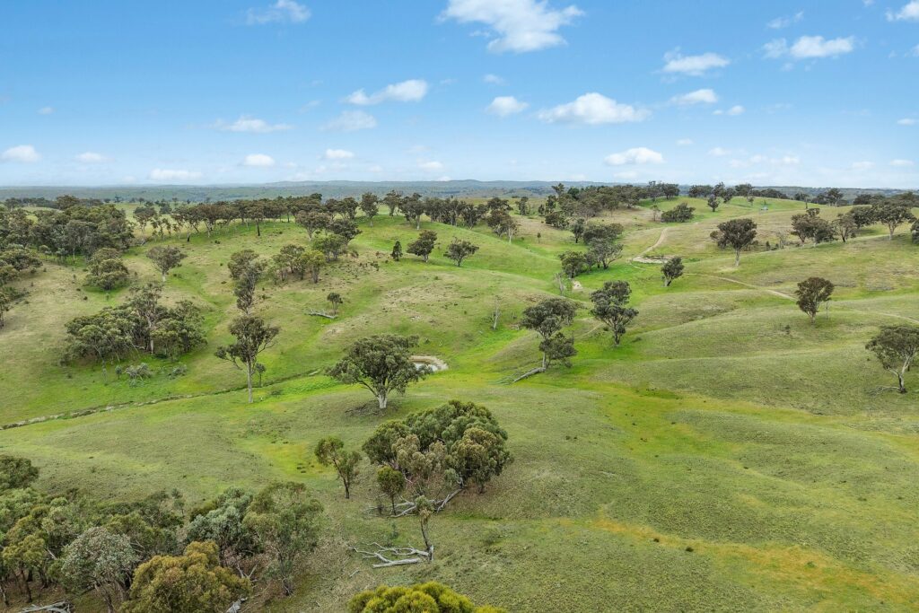 For Sale - 1862 Euchareena Road - New Property in Molong - Real Estate by Scott Petersen