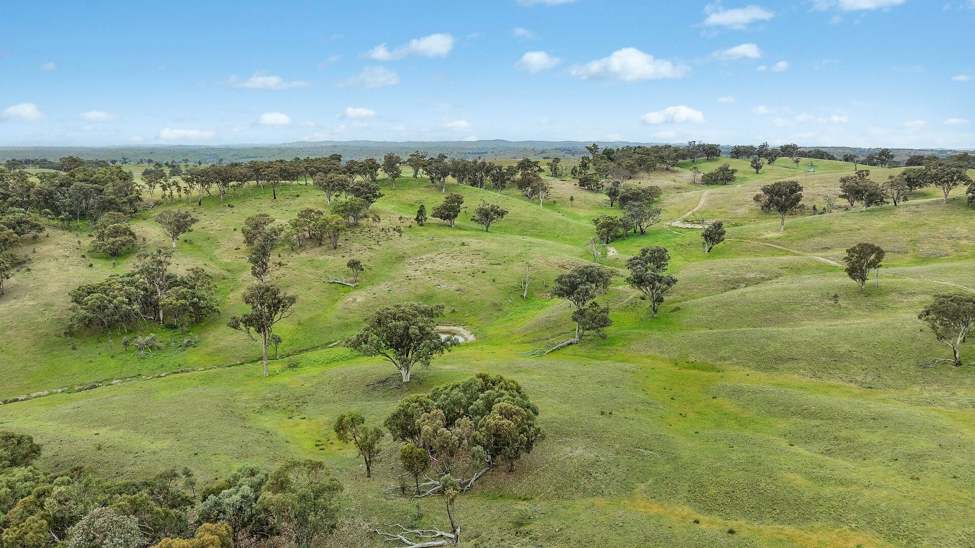 For Sale - 1862 Euchareena Road - New Property in Molong - Real Estate by Scott Petersen