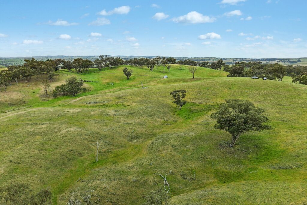 For Sale - 1862 Euchareena Road - New Property in Molong - Real Estate by Scott Petersen