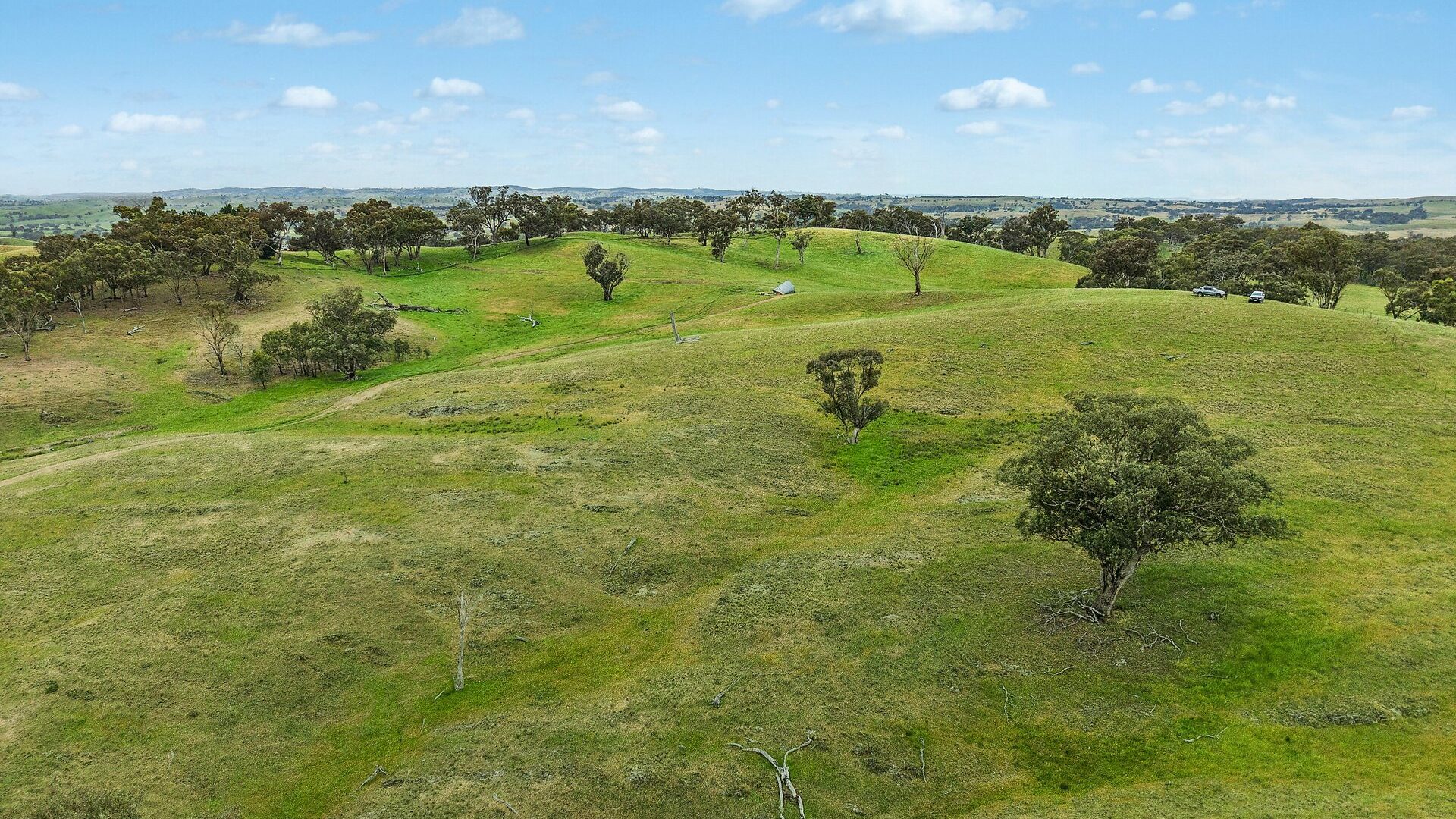 For Sale - 1862 Euchareena Road - New Property in Molong - Real Estate by Scott Petersen
