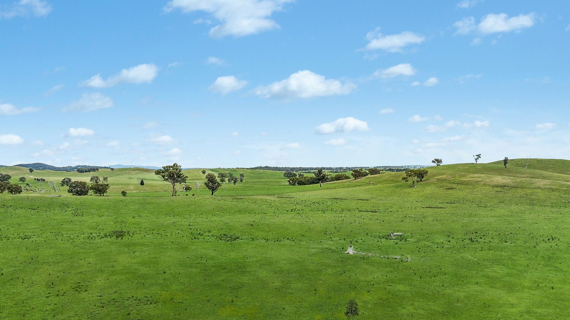 For Sale - 1862 Euchareena Road - New Property in Molong - Real Estate by Scott Petersen